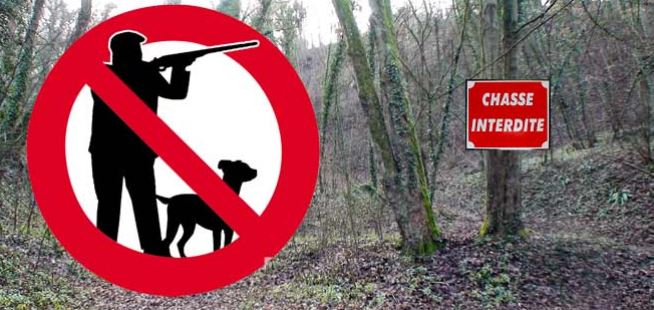 La chasse et la chasse à courre, interdites sur le territoire de la commune de Verberie.