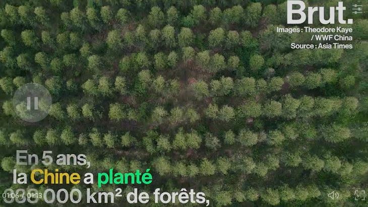 Un projet colossal de reboisement en Chine