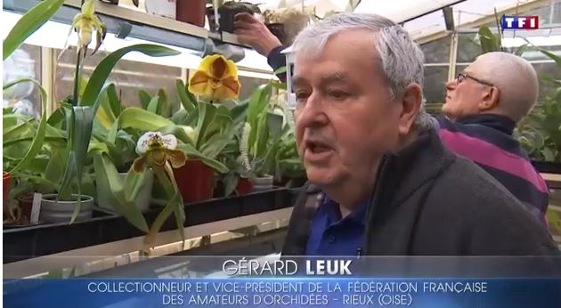 Rieux : Gérard Leuk, passionné d’orchidacées, vedette du JT de Jean Pierre Pernaut