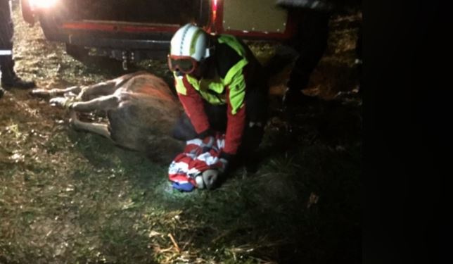 Beauvais : un accident bloque l’A16