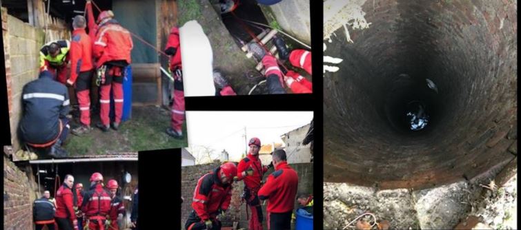 Villers Saint-Sepulcre : une chienne de six mois sauvée au fond du puits de 10 mètres par les pompiers