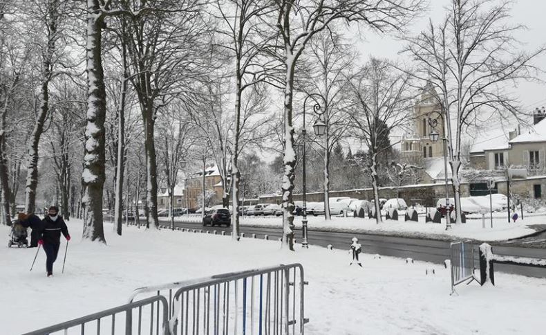 Senlis : les peupliers de la rue du Moulin St Rieul ont été abattus
