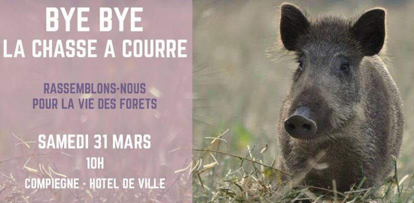 Compiègne : manif des anti-chasse à courre ce matin