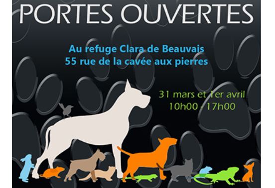 Portes ouvertes au refuge Clara de Beauvais pour l’adoption, samedi 31 mars et dimanche 1er avril