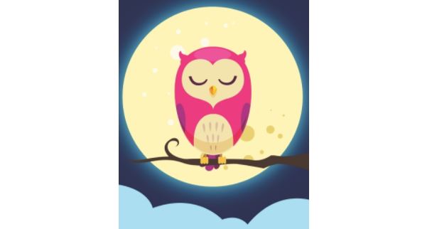 La Nuit de la chouette : à Crépy-en-Valois le rapace est toujours présent !