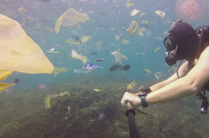 La décharge flottante du Pacifique fait trois fois la taille de la France