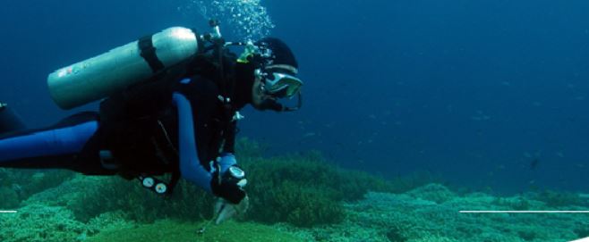 Saint-Maximin : initiation à la plongée sous-marine à Montataire