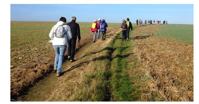 Vos sorties du dimanche, dans l’Oise