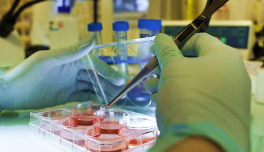 Chambly : une course solidaire contre la leucémie