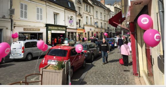 Senlis, “La Ville en rose”.