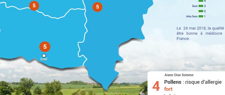 Oise : le risque d’allergie aux pollens sera fort cette fin de semaine !