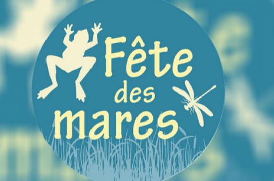 Du 4 au 8 juin, c’est la fête des mares : un défi scientifique autour des zones humides (Vidéo)