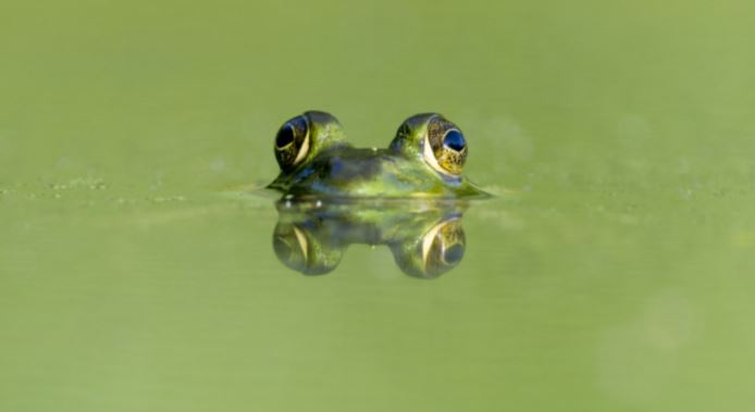 Venez découvrir qui se cache près de chez vous !
