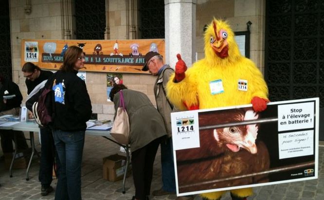 A Beauvais, des militants de L214 dénoncent la production intensive de poulets …