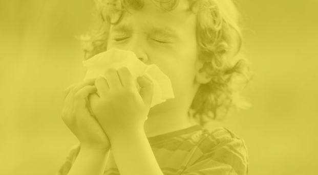 Pollin’Air : devenez une sentinelle de l’ATMO Hauts de France