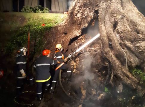 Le Vaumain : un arbre de 250 ans se consume suite à un feu d’artifice