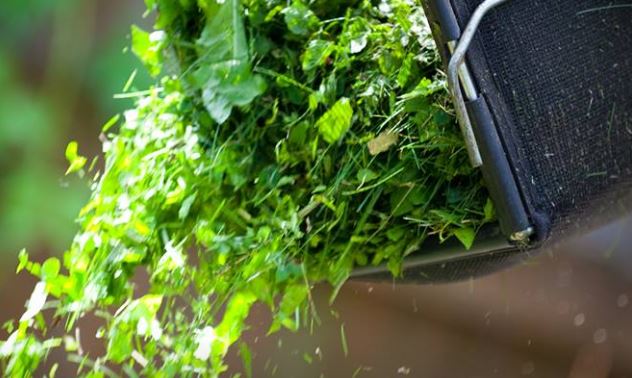 Creillois : votre poubelle verte (Bio-Conteneur) déborde ? Des solutions existent !