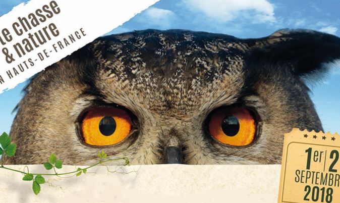 Palais de Compiègne : les 1er et 2 septembre, les animaux font leur cinéma