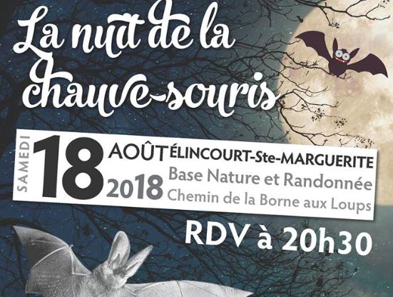 Élincourt-Sainte-Marguerite : la nuit de la chauve souris le samedi 18 août