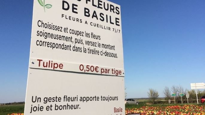 Les fleurs de Basile : choisissez, cueillez et réglez le montant de votre récolte.