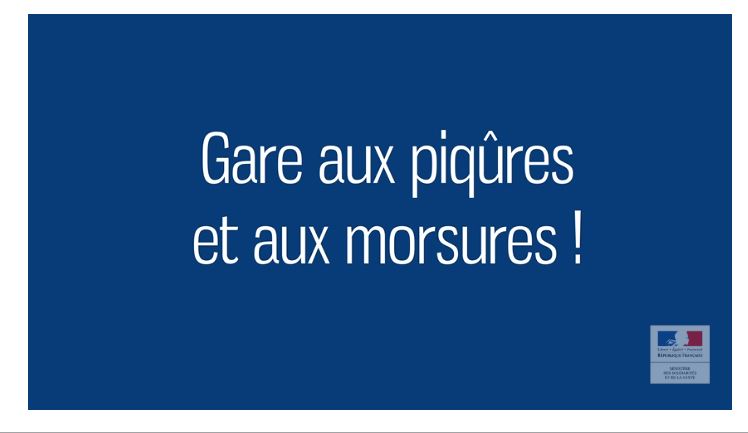 Dans l’Oise, l’été n’est pas fini pour les moustiques, abeilles…