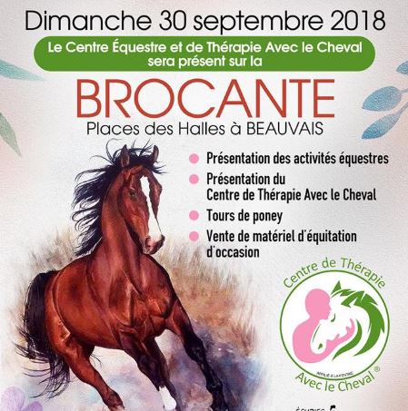 Thérapie avec le cheval dans le Beauvaisis ” Séni’Horses Thérapie