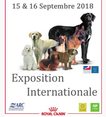 Compiègnois : expo canine Internationale les 15 et 16 Septembre 2018