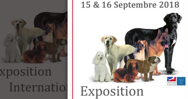 Margny : lès-Compiègne : exposition canine internationale, les 15 et 16 Septembre 2018