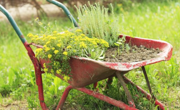 Le jardinage, ça vous botte ? Rendez-vous le 29 septembre à Senlis