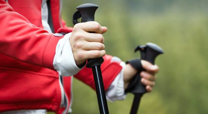 Week-end nature dans les forêts de l’Oise : enfilez vos chaussures de marche !