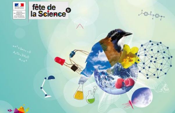 Senlis fête la science ! “Partez à la découverte des insectes pollinisateurs” à la médiathèque.