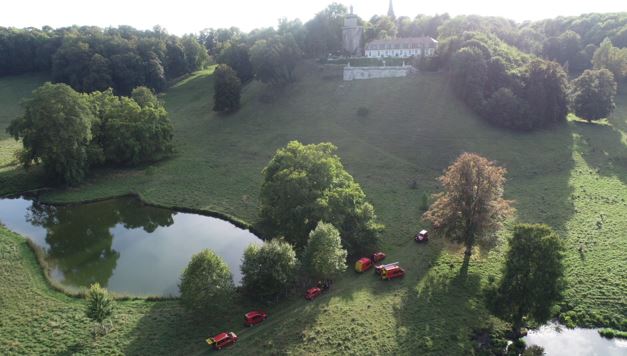 Mouchy le Chatel : deux chiens “American Staff”, activement recherchés.