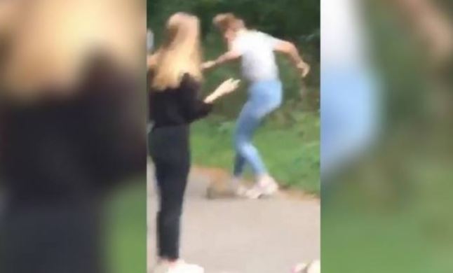 Compiègne : une vidéo relayée par “Animal mon Egal”, met le feu sur le web !