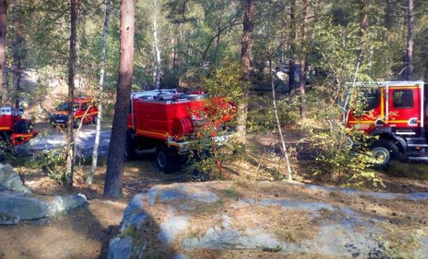 Important incendie en forêt d’Ermenonville