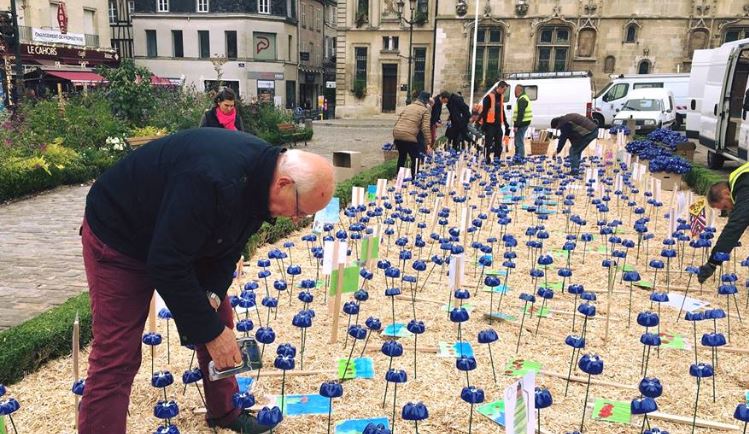 Des bleuets ont fleuri sur le parvis de l’hôtel de ville de Compiègne