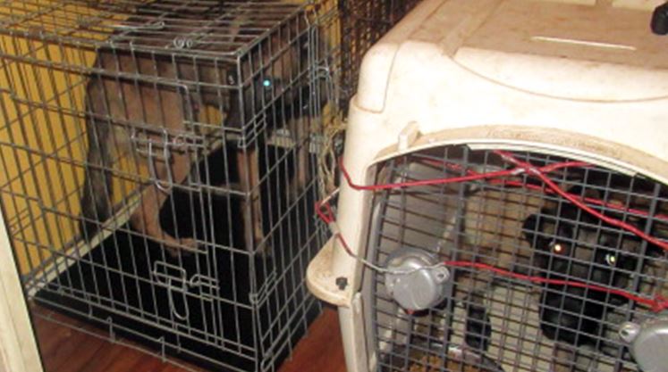 Nogent-sur-Oise : le collège Marcelin Berthelot évacué !