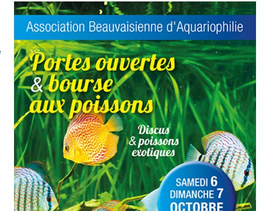 Bourse aux poissons et portes ouvertes à l’association Beauvaisienne d’Aquariophilie, ce week-end
