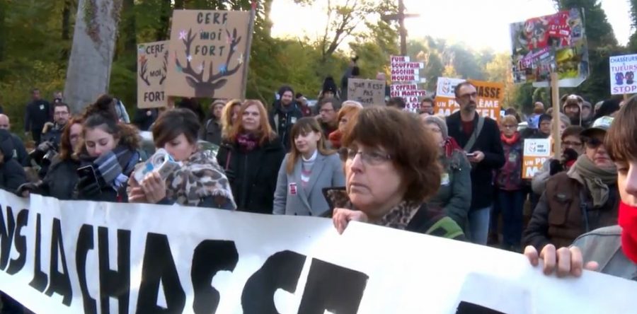 Zoom dans l’Oise : les anti-chasse à Courre, vers une convergence des luttes ?