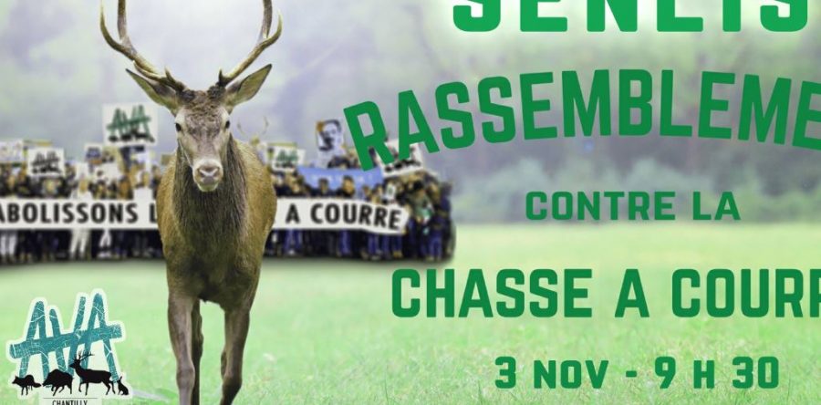 Senlis : les riverains des Trois Forêts se rassembleront pour afficher leur opposition à la chasse à courre !