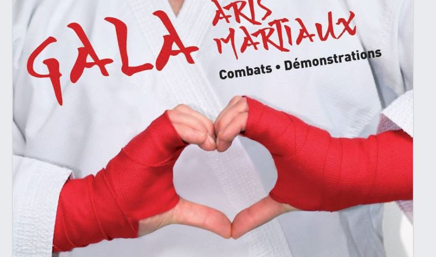 Montataire : grand gala d’arts martiaux ce samedi 22 décembre, avec 100 participants !