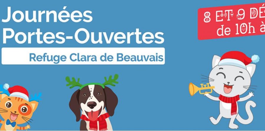 Refuge Clara de Beauvais : portes-ouvertes “adoptions “les samedi 8 et dimanche 9 décembre