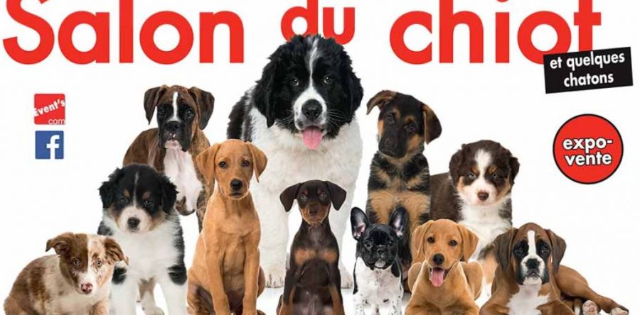 Margny-lès-Compiègne : Salon du Chiot du 19 et 20 Janvier 2019