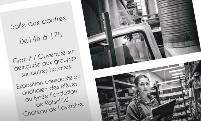 Saint-Maximin : “Comme des pros”, le lycée professionnel Fondation de Rothschild s’expose !