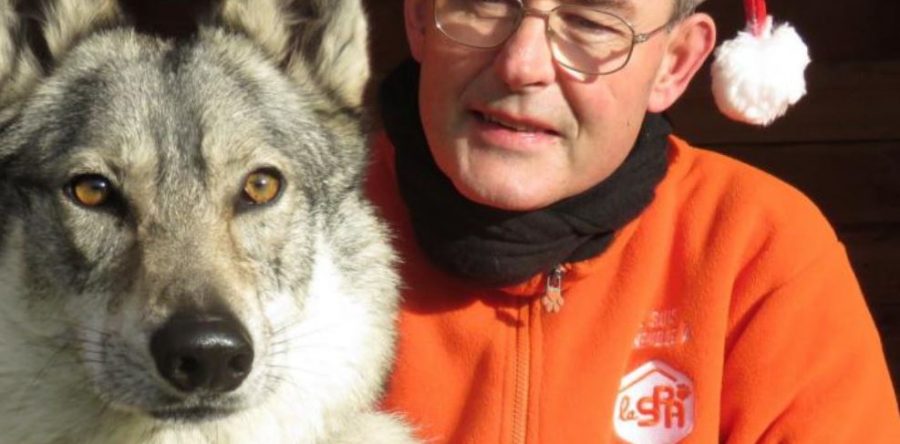 SPA de Compiègne : distribution des cadeaux aux animaux !