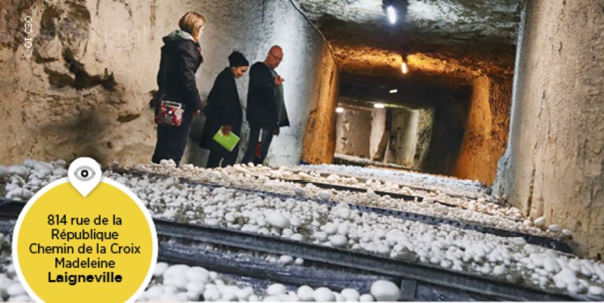 Laigneville : la champignonnière vous ouvre ses portes !