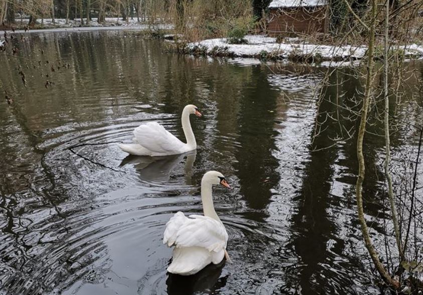 Parc écologique de Senlis est ouvert ! Découvrez le biomimétisme au rythme de vos balades.
