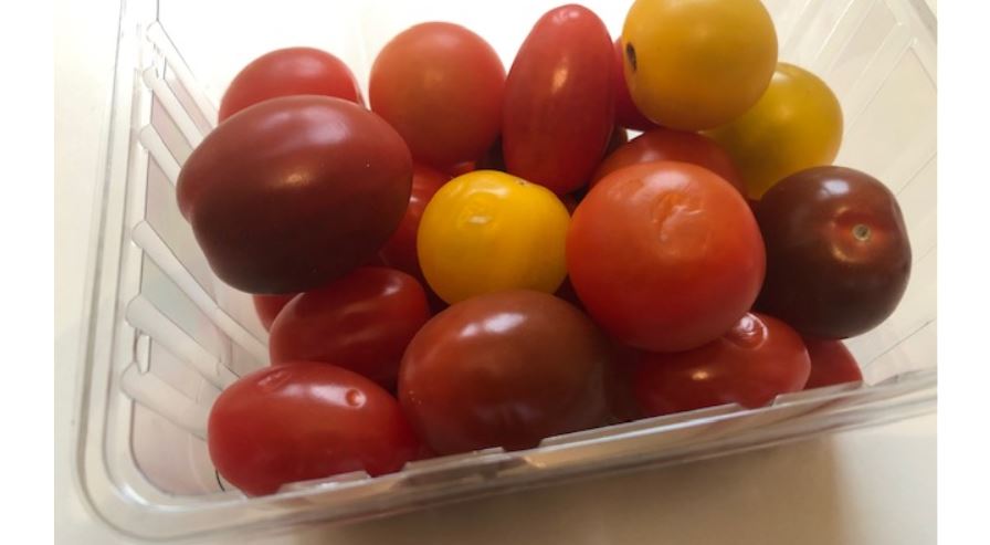 Rencontres mensuelles avec le maire de Pont-Sainte-Maxence : des tomates cerises pour les élèves !