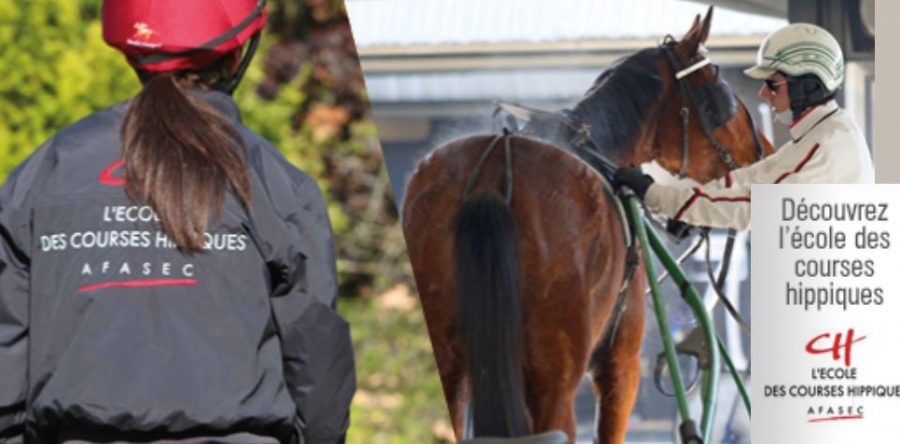 L’AFASEC de Gouvieux propose une semaine de stage, dans la peau d’un cavalier d’entrainement.