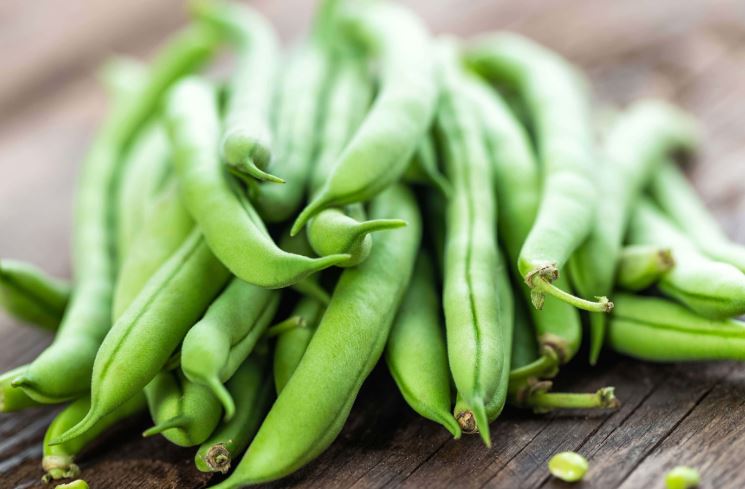 Rappel de haricots verts des marques d’Aucy et Cuisine de France.