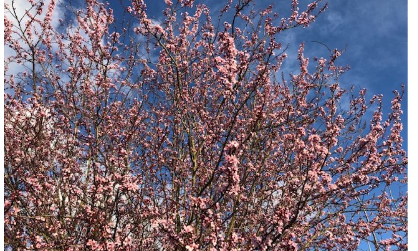 Beau temps dans l’Oise : il faudra attendre lundi